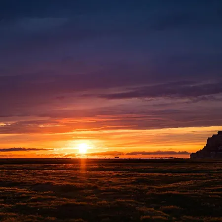 Les Escargots Du Mont Tanis